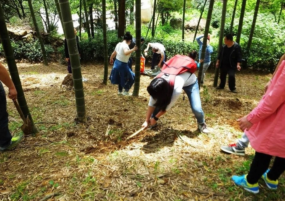 上海周边可以钓鱼的农家乐预定